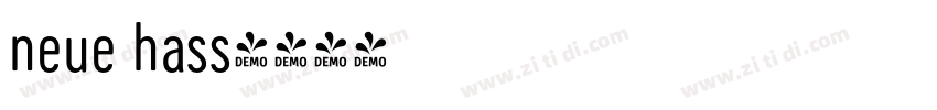 neue hass字体转换
